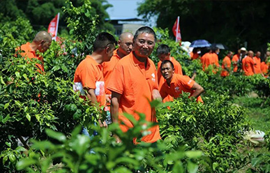 震驚：50元買一只紅蜘蛛？!——這一次，果農們有話要說